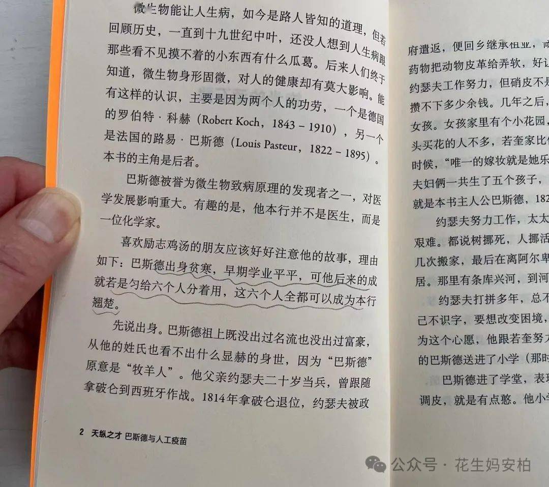 张哈拿最新启示，引领探索未知，迈向未来之路