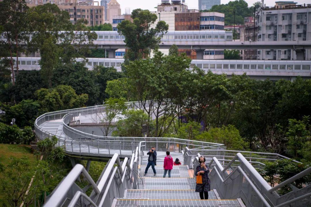 云道最新新闻动态发布