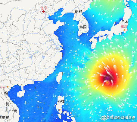 台风海神最新动态及全方位解析，影响与应对策略