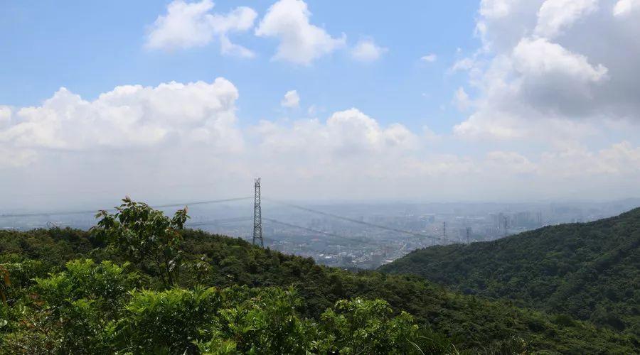 深圳梧桐山最新动态，自然美景与人文建设的完美融合之旅