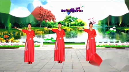 中三最新广场舞，舞动生活的无限魅力与活力源泉