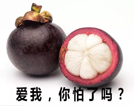 山竹最新动态，生长环境、市场动态与未来发展展望全解析