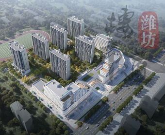 山东国欣颐养最新发展动态概览